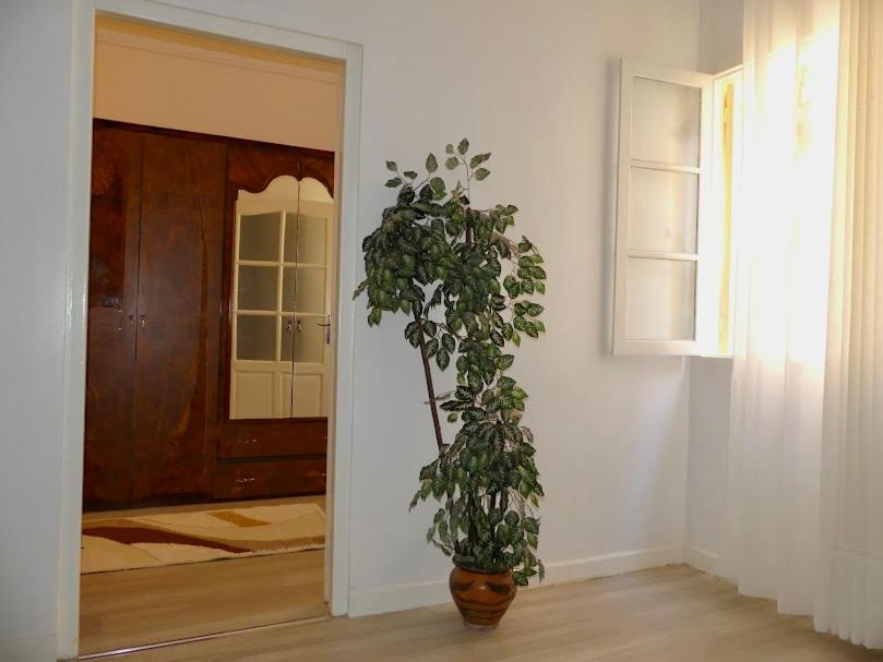 A Cozy Home Right In The Heart Of Tangier Exterior photo